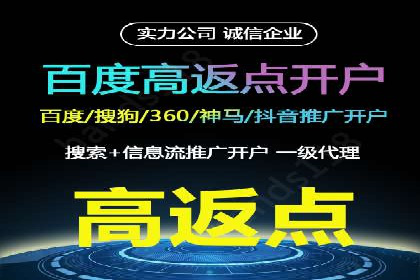 SEM推广策略：成功案例解析与效果评估