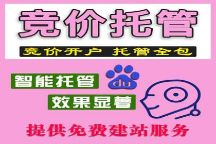 SEM推广策略：成功案例分享与启示